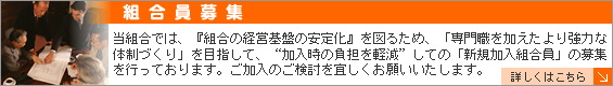 �ȹ���罸